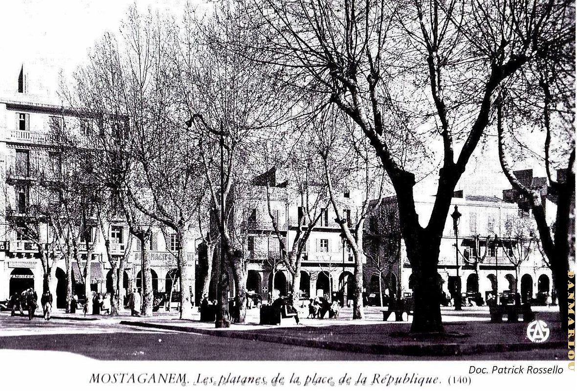 Mostaganem - Place de la Republique - Les Platanes.jpg